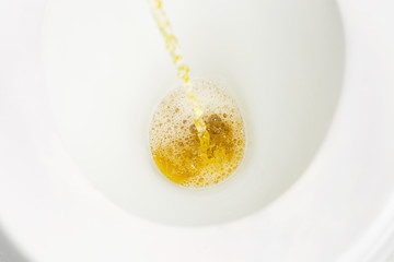 Release or pouring urine or pee in white flush bowl toilet in re