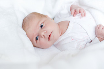 Portrait of cute adorable newborn baby child