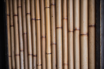 In this picture we can see a buch of bamboo sticks of different sizes kept together.