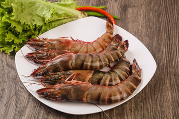 Raw big tiger prawn