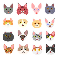 Fototapeta premium cute cats faces set