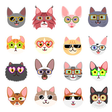 cute cats faces with glasses