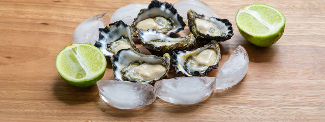 Freshly shucked Sydney Rock Oyster
