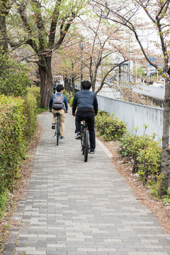 In the image a couple of people cycling on the side walk and few trees, bushes and buildings can be seen in the image.