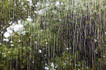 Texture heavy rain