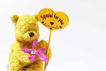 Bear is holding sign Special for you 