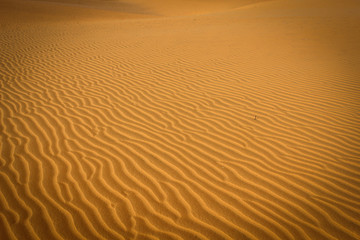Red dunes near Mui Ne, Vietnam