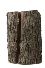 Wood log as firewood in a white isolated background.