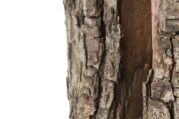 Part of wooden logs with a crack on a white background isolated.