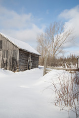 Fototapeta na wymiar Old farm building on a sunny winter day with snow landscape