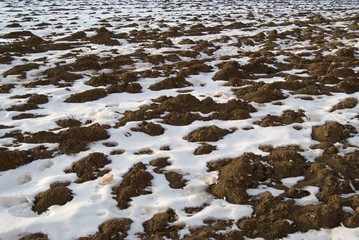 frozen field with snow in the winter