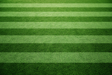Sunny green soccer or football grass field pattern background. Selective focus used.
