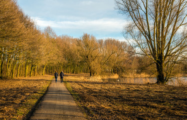 Fototapeta na wymiar Man and woman walking along a path through an autumn forest