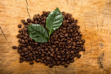 Obraz na płótnie Canvas Photo of coffee beans and leaf