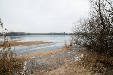  Lake San Daniele in the grip of ice - Winter in Friuli