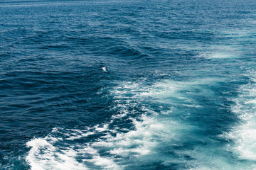 The sea and the waves