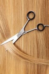 Hairdresser accessories for hair, isolated.