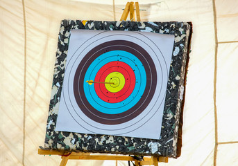 The arrow pierced the center of the paper target of concentric circles of different colors. Archery.