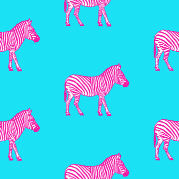 Seamless pattern with hand drawn zebra vector illustration. Blue background.