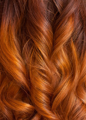 Beautiful, healthy, long, curly, red hair close up.  Create curls with curling irons. Professional hair care.