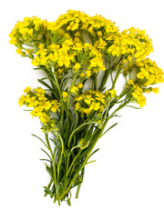 Bouquet with yellow flowers