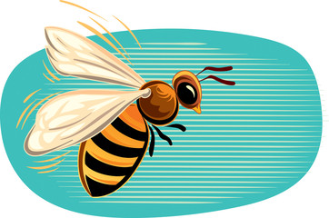 Bee flying in the blue sky