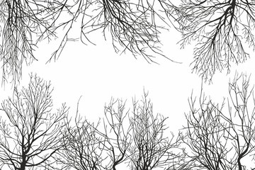 trees view from below