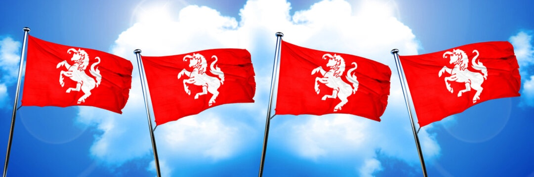 Twente Flag, 3D Rendering