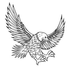 Illustration of flying eagle