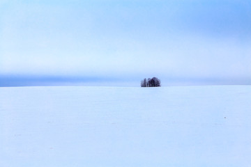 зимний пейзаж

