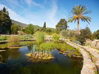 Botanischer Garten in Soller, Mallorca, Spanien