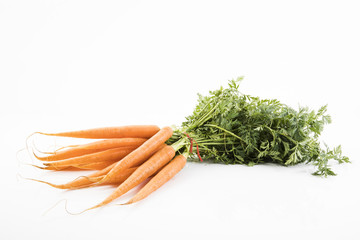 Bund Karotten auf weissen Hintergrund