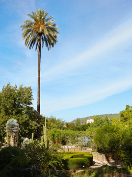 Botanischer Garten in Soller, Mallorca, Spanien