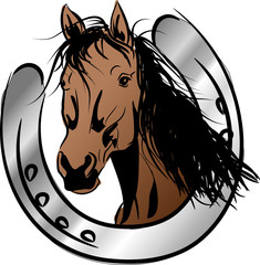 Brown horse with horseshoe © sidliks