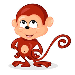 cute small crazy monkey at the white background