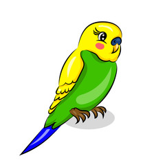 bright colorful cute parrot at the white background