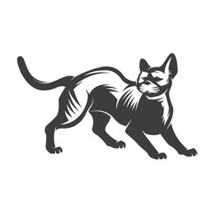 cat  isolated on white background.