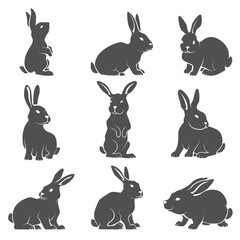 Set of rabbit icons isolated on white background.
