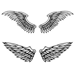 Fototapeta premium Vintage wings isolated on white background.