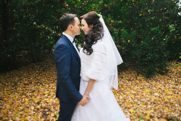 Wedding photo shoot. Beautiful groom and bride in nature.