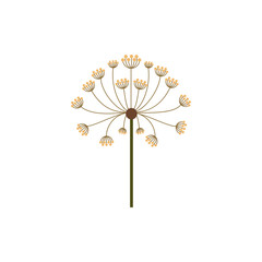 colorful dandelion with stem and pistil vector illustration