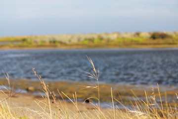 view along the beach