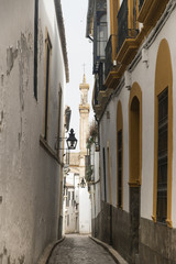 Fototapeta premium Cordoba (Andalucia, Spain): street