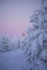 Ścieżka zdrowia © Rafal Kucharek