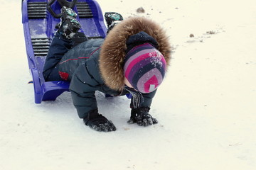 The sled through the snow, the boy fell out of the sleigh. Winter fun. Extreme sports funny fall.