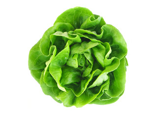 Lettuce vegetable on white background(top view)