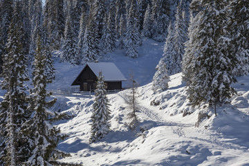 Winter am Dobratsch, Kaernten