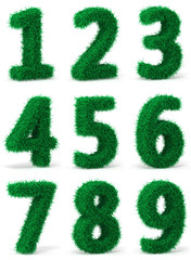 Herbal numbers