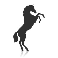 Rearing Pinto Horse Illustration in Flat Design