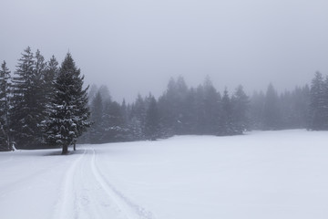 Winterlandschaft im Gailtal, Kaernten